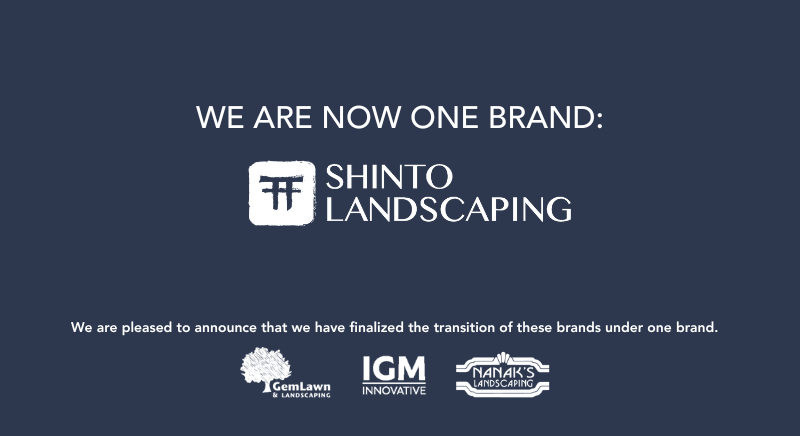 SHINTO BRAND LAUNCH